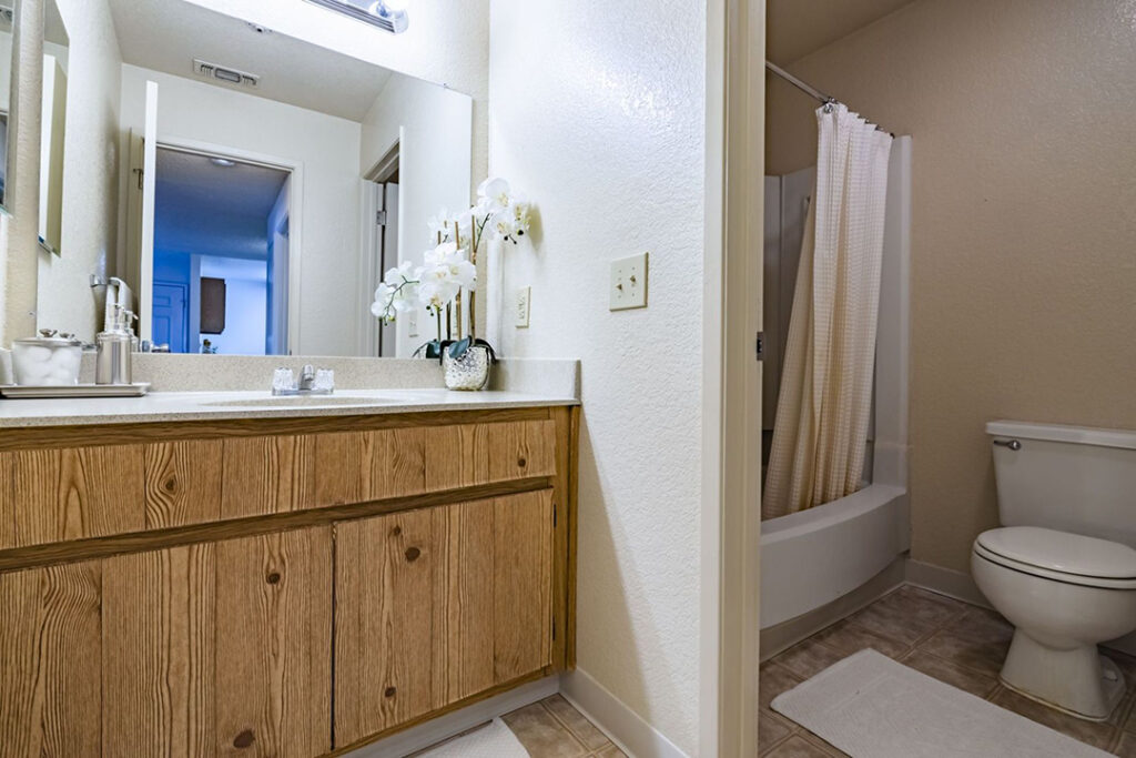 Bathroom of Country Brook apartment